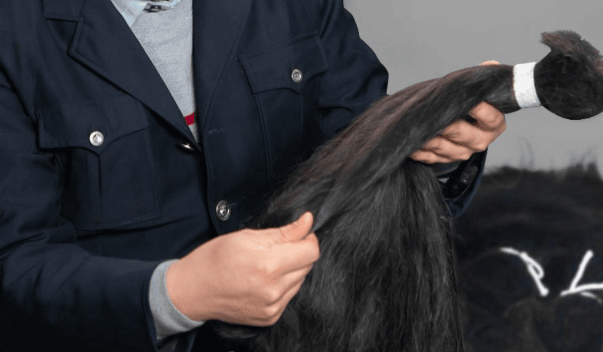 A Comprehensive Guide to Hair Suppliers in Vietnam 2518e501 17ce 4c1b afec 76a1a0ddba40