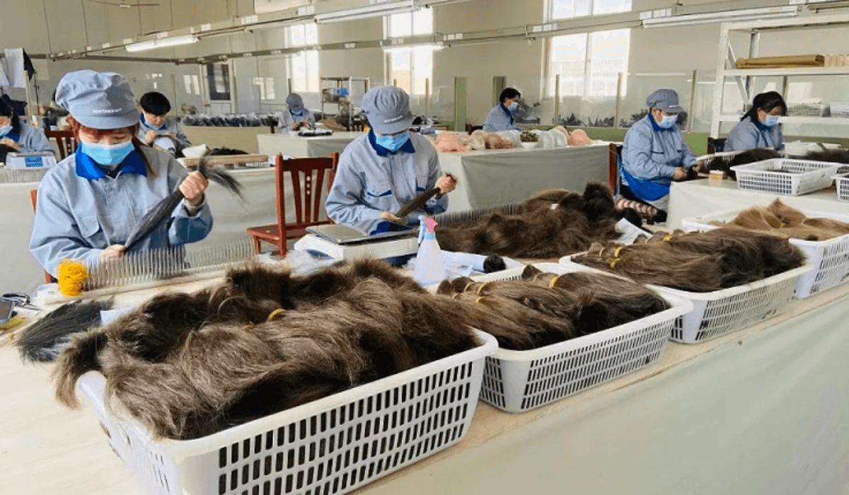 A Comprehensive Guide to Hair Suppliers in Vietnam 8fbef1ca 091c 4a15 9d0e 692e94720088